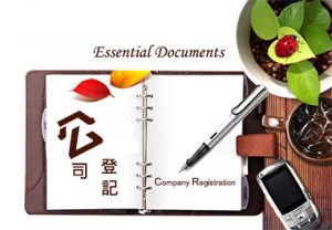 共創既有網站的公司登記資料主題圖